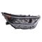 Headlight Assembly