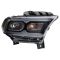 Headlight Assembly