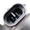 Headlight Assembly