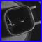 Headlight Assembly