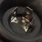 Headlight Assembly