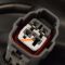 Headlight Assembly