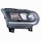 Headlight Assembly