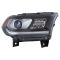 Headlight Assembly