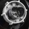 Headlight Assembly