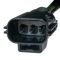Headlight Assembly