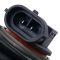 Headlight Assembly