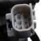 Headlight Assembly