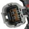 Headlight Assembly