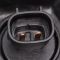Headlight Assembly