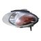 1998-03 Ford Escort Headlight Pair for ZX2 2dr