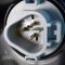 17-18 Nissan Rogue Halogen Headlight Pair
