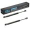 Hood Lift Support Set