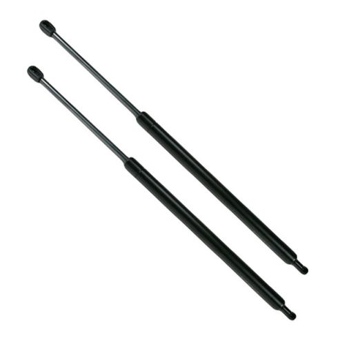 Hatch Lift Support Pair