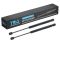 Hood Lift Support Set