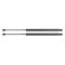 91-03 Ford Mazda Mercury Explorer Navajo Mountaineer Trunk Lift Support PAIR