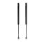 Back Glass Lift Support Set