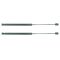 1976-93 Bronco II Fairmont LTD Volare Mustang Capri Rear Hatch Lift Support PAIR