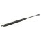 78-87 Buick Century Regal  Hood Lift Support PAIR