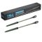 Hood Lift Support Set