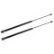 98-04 Dodge Chrysler 300M Intrepid Hood Lift Support PAIR