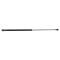 98-04 Dodge Chrysler 300M Intrepid Hood Lift Support PAIR