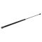 98-04 Dodge Chrysler 300M Intrepid Hood Lift Support PAIR