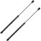 96-06 Ford Mercury Taurus Sable Glass Lift Support PAIR