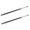 97-05 Buick Olds Pontiac Chevy Regal Impala Grand Prix Hood Lift Support PAIR