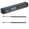 Back Glass Lift Support Set