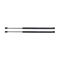 98-04 Honda Isuzu Passport Amigo Rodeo Lift Supports PAIR