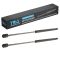 Hood Lift Support Set