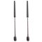 Hood Lift Support Set