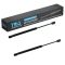 Liftgate Lift Support Set