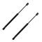 00-05 Ford Excursion Tailgate Lift Supports PAIR