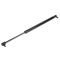 99-04 Jeep Grand Cherokee Trunk Lift Supoport