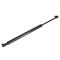 99-04 Jeep Grand Cherokee Trunk Lift Supoport