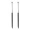 Liftgate Lift Support Set