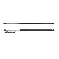 01-05 Chrysler Dodge Voyager Town & Country Caravan Trunk Lift Support PAIR