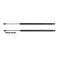 01-05 Chrysler Dodge Voyager Town & Country Caravan Trunk Lift Support PAIR