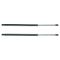 02-06 Chevy GMC Isuzu Envoy Trailblazer Ascender Trunk Lift Support PAIR