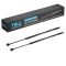 Liftgate Lift Support Set