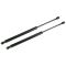 2002-08 GM Isuzu Mid Size SUV Tailgate Lift Support PAIR