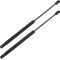 87-95 Land Rover Range Rover Rear Upper Hatch Glass Support PAIR