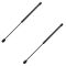 02-07 Jeep Liberty Hood Lift Support PAIR