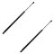 05-09 Chevy Equinox; 06-09 Pontiac Torrent Rear Hatch Lift Support PAIR