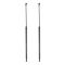 Liftgate Lift Support Set