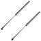 05-10 Scion Tc Rear Hatch Lift Support PAIR