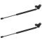 03-07 Honda Accord Hood Lift Support PAIR