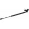 03-07 Honda Accord Hood Lift Support PAIR